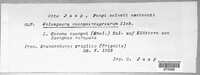 Image Associated With the Occurence